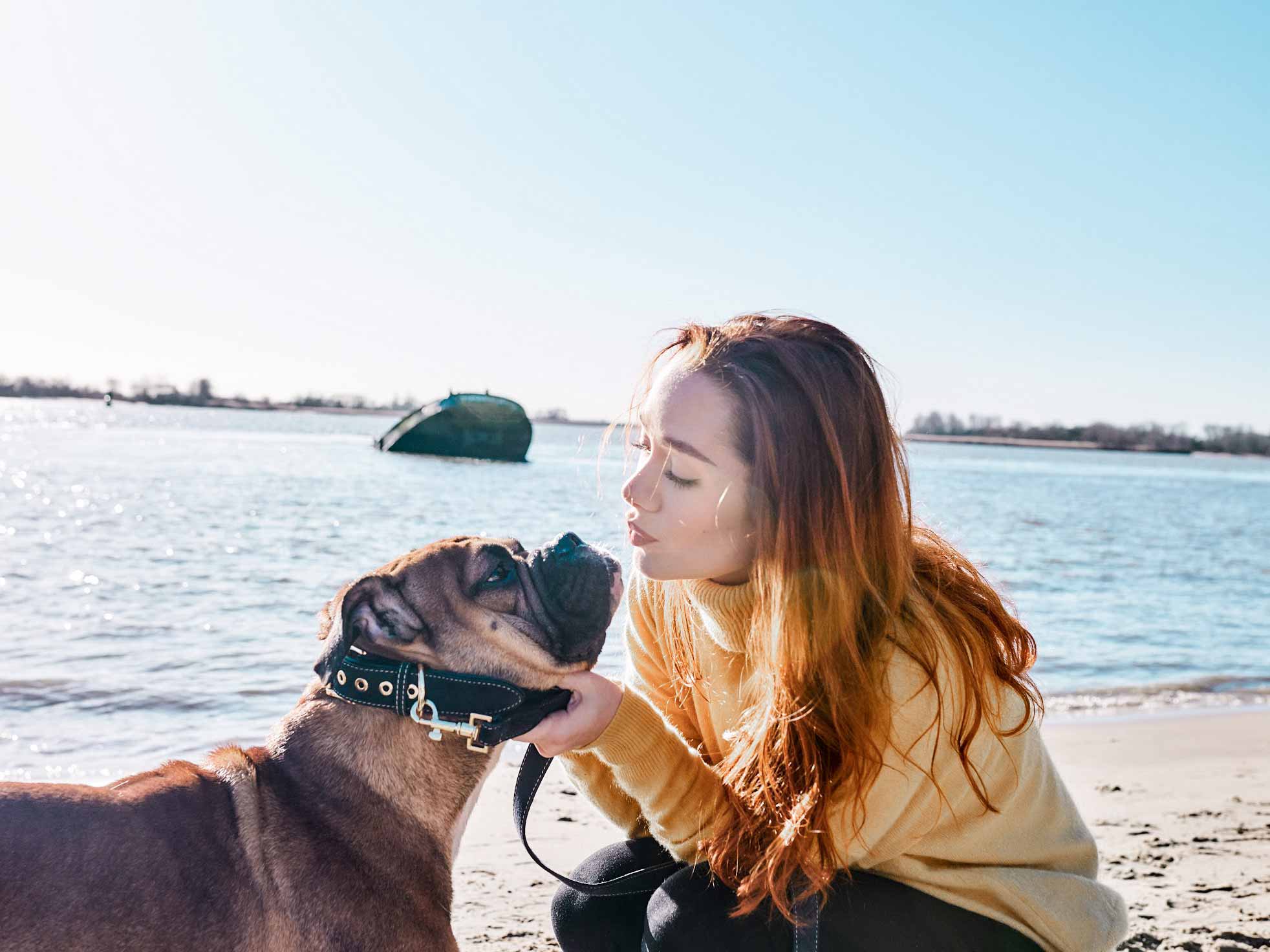 Können sich Hunde verlieben?