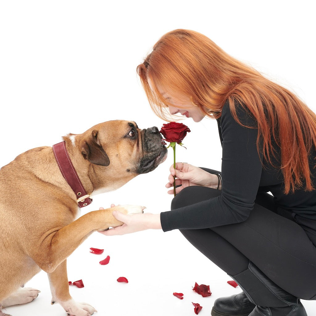 William Walker Valentinstag - Wenn dein größter Verehrer vier Beine hat